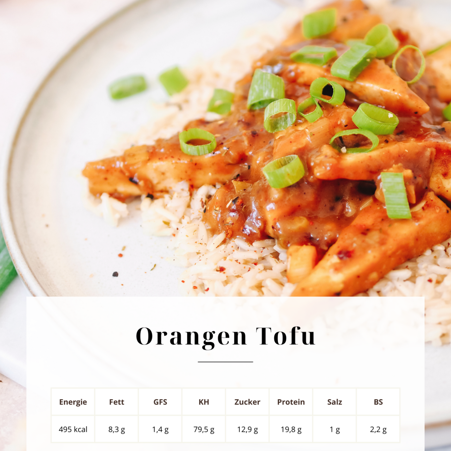 E-Book: Vegan kochen ohne Nährstoffmangel 70+ Rezepte